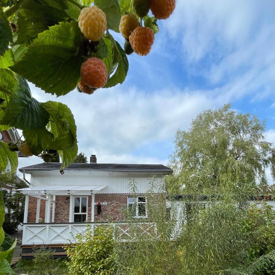 Leben Am See Hemmoor Exteriér fotografie